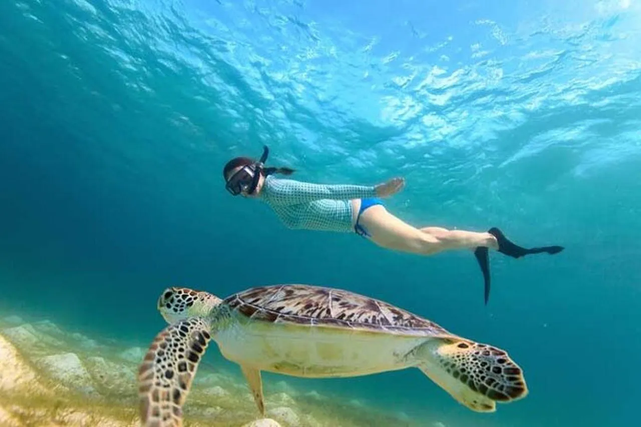 Qué actividades hacer en Cancún: Guía para disfrutar al máximo