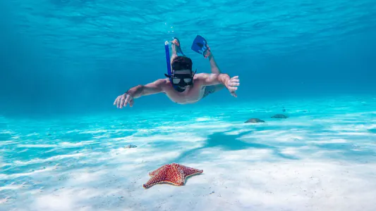 Paseo en Lancha + Buceo
